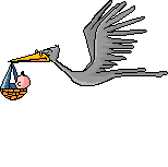 stork.gif